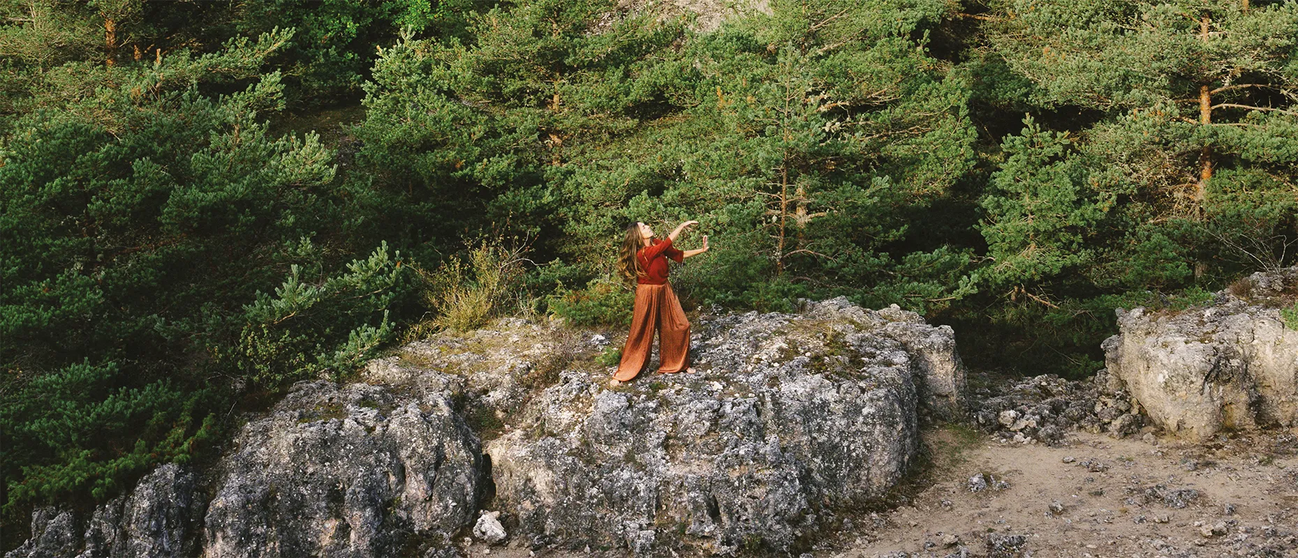 iana hero section banner